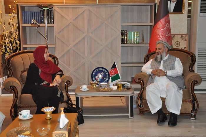 دیدار سرپرست وزارت ارشاد، حج واوقاف با سرپرست وزیر وزارت معارف