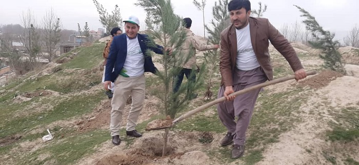 د تخار ولایت د ارښاد ، حج او اوقافو ریاست نن سهار د چاپیریال ساتنی او کرنې ریاست په همکارۍ د نیالګیو د نیولو کمپاین پیل کړ.